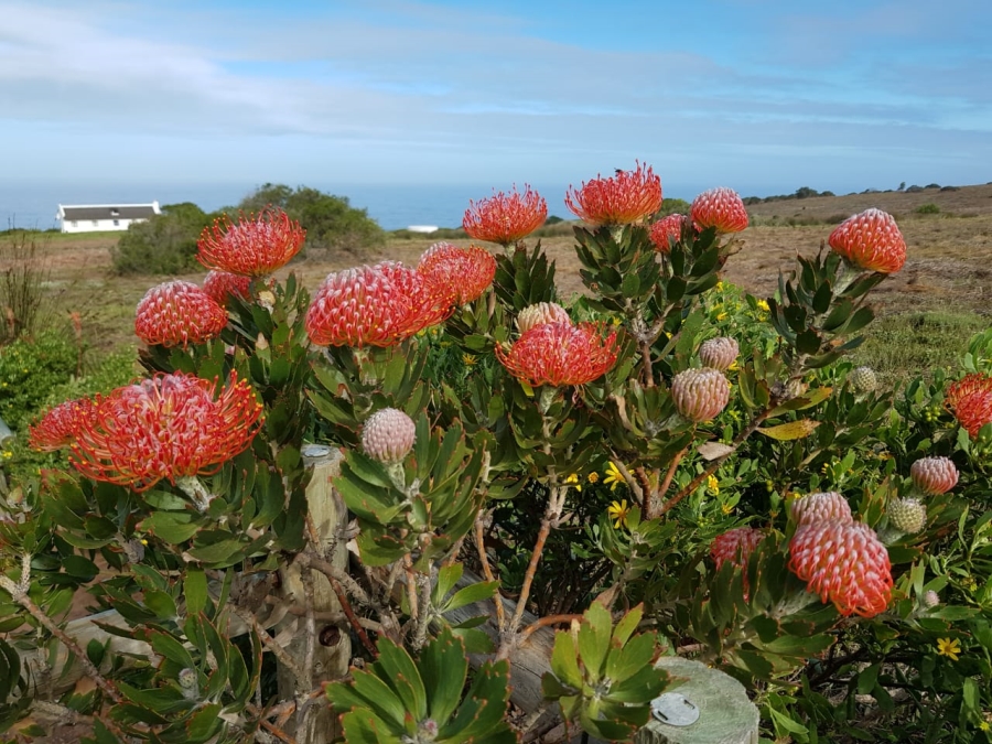 4 Bedroom Property for Sale in Stilbaai Rural Western Cape